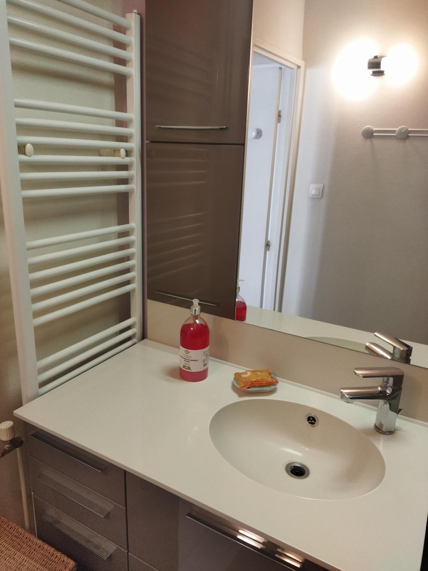 Apartament Le Puy De Dome Clermont-Ferrand Zewnętrze zdjęcie